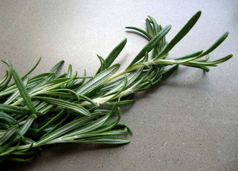 Rosemary to increase efficiency